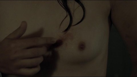 Sonia Suhl - Nude & Naked Sex Porn Videos in When Animals Dream (2014)